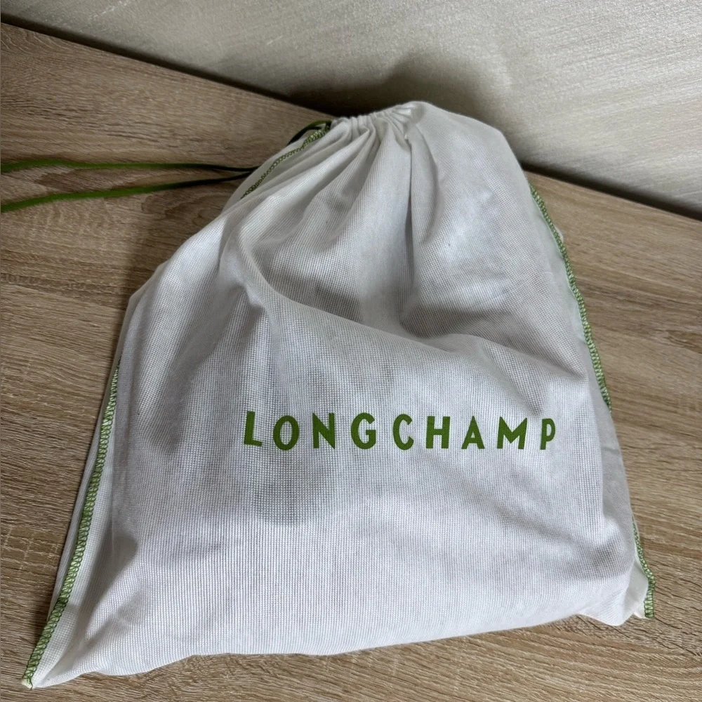 Longchamp Rust 3D Leather Tote Crossbody Bag